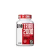 TRIBU 2000 – DMI